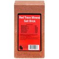Roto Salt Champion's Choice Trace Mineral Salt Brick, 4 lb 110004997
